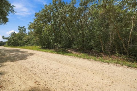Land in Webster, Florida № 2383670 - photo 3