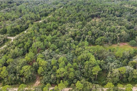Land in Webster, Florida № 2383670 - photo 13