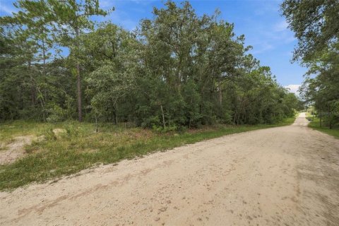 Land in Webster, Florida № 2383670 - photo 2