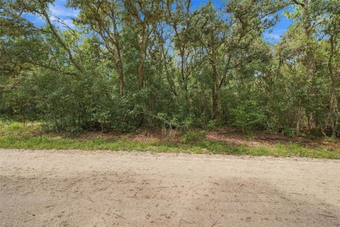 Land in Webster, Florida № 2383670 - photo 4