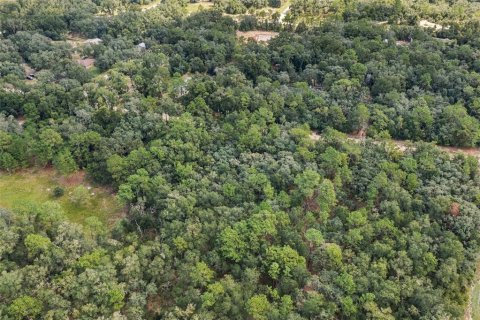 Land in Webster, Florida № 2383670 - photo 9