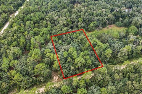 Land in Webster, Florida № 2383670