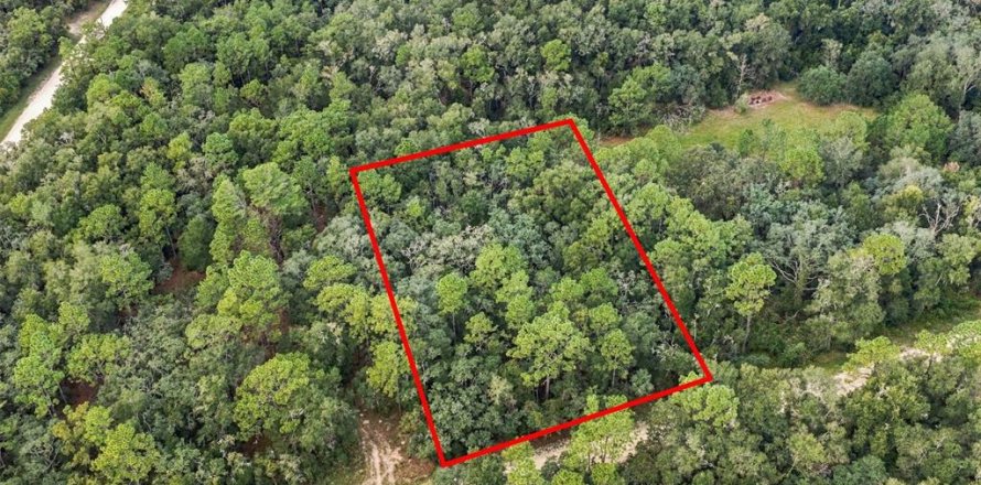 Land in Webster, Florida № 2383670