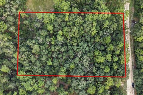 Land in Webster, Florida № 2383670 - photo 6