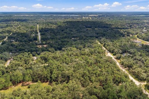 Land in Webster, Florida № 2383670 - photo 7