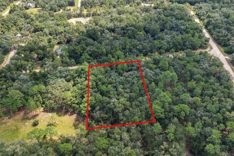 Land in Webster, Florida № 2383670 - photo 5