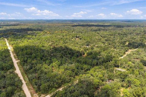 Land in Webster, Florida № 2383670 - photo 10