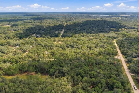 Land in Webster, Florida № 2383670 - photo 11