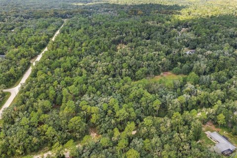 Land in Webster, Florida № 2383670 - photo 12