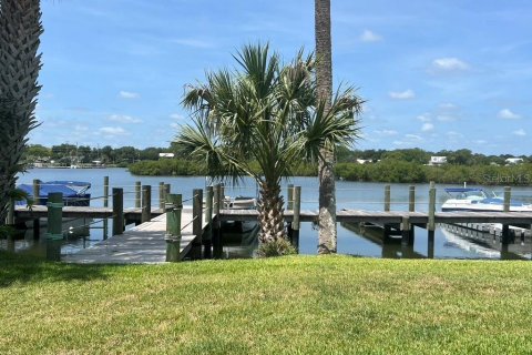 Copropriété à louer à New Smyrna Beach, Floride: 2 chambres, 82.5 m2 № 1016303 - photo 7