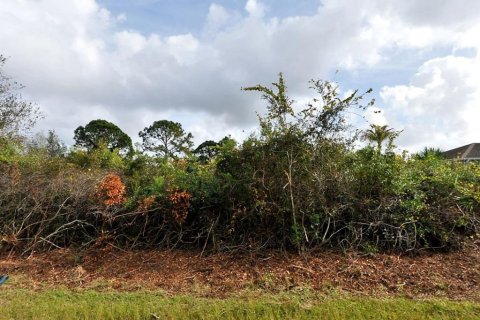 Land in North Port, Florida № 2161504 - photo 3