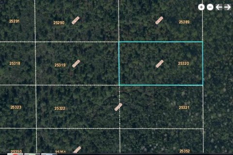 Land in Orlando, Florida № 1341019 - photo 1