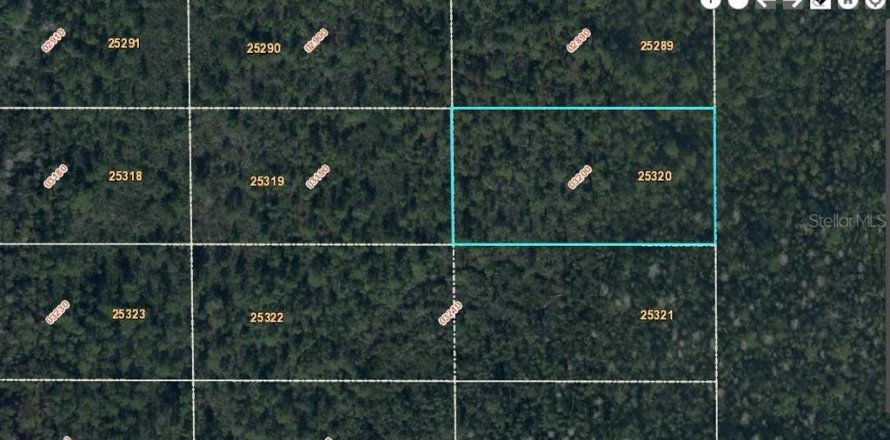 Land in Orlando, Florida № 1341019