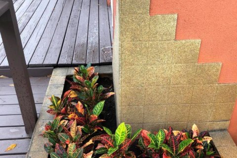 Apartamento en alquiler en Oakland Park, Florida, 2 dormitorios, 97.55 m2 № 2250766 - foto 5