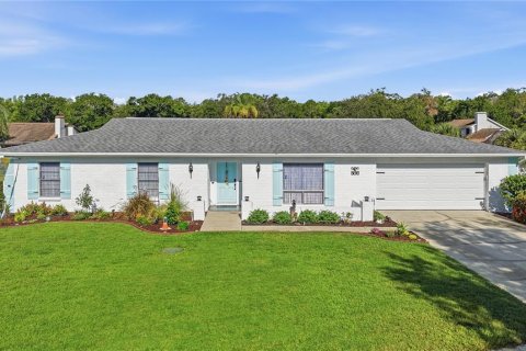 Villa ou maison à Tampa, Floride 3 chambres, 182.37 m2 № 2149417