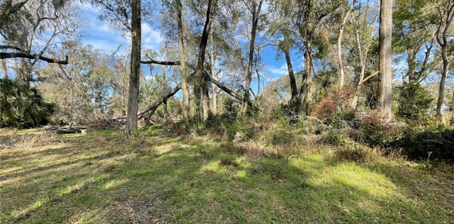Land in Alachua, Florida № 2203954