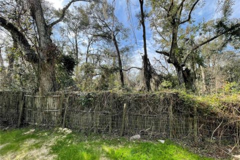 Land in Alachua, Florida № 2203954 - photo 5