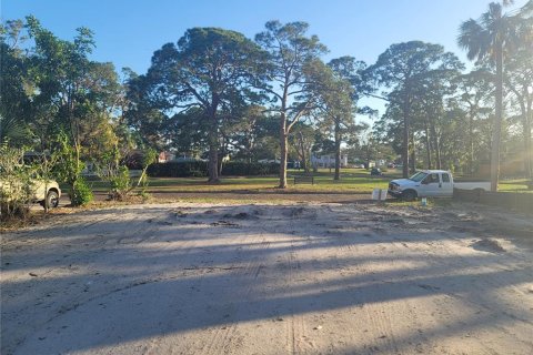 Land in Saint Petersburg, Florida № 1553547 - photo 4