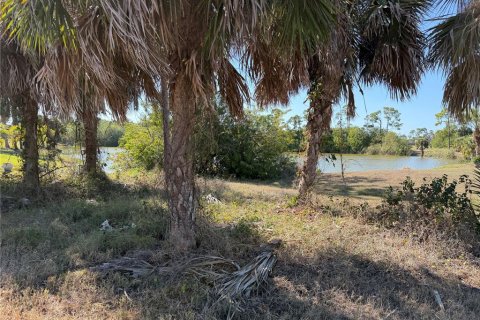 Terrain à vendre à Rotonda, Floride № 2161842 - photo 4