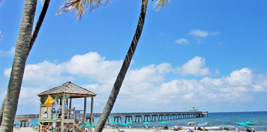 Studio in the Condo in Deerfield Beach, Florida № 1097727