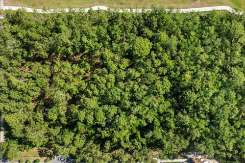 Terreno en venta en Port Orange, Florida № 1684846 - foto 18