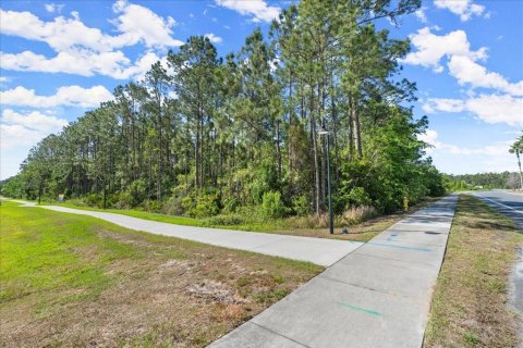 Terreno en venta en Port Orange, Florida № 1684846 - foto 19