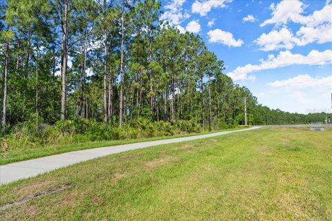 Terreno en venta en Port Orange, Florida № 1684846 - foto 22