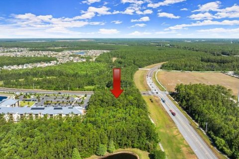 Terreno en venta en Port Orange, Florida № 1684846 - foto 4