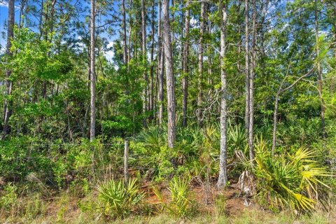 Terreno en venta en Port Orange, Florida № 1684846 - foto 21