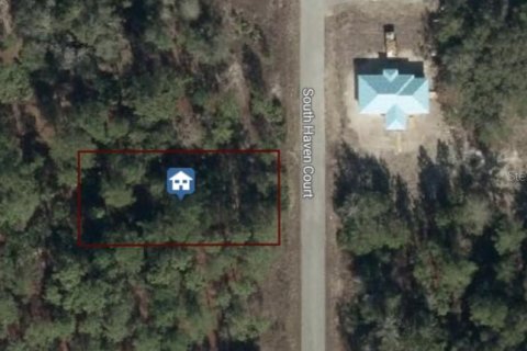 Terrain à Dunnellon, Floride № 2160646