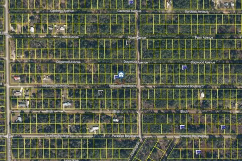 Land in Georgetown, Florida № 2400333 - photo 7