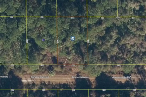 Land in Georgetown, Florida № 2400333 - photo 8