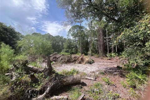 Land in Georgetown, Florida № 2400333 - photo 12