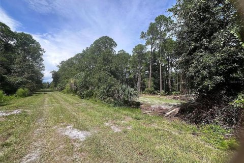 Land in Georgetown, Florida № 2400333 - photo 5