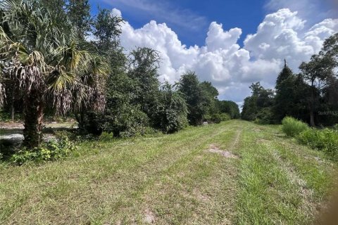 Land in Georgetown, Florida № 2400333 - photo 4