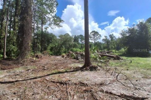 Land in Georgetown, Florida № 2400333 - photo 9