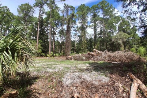 Land in Georgetown, Florida № 2400333 - photo 11