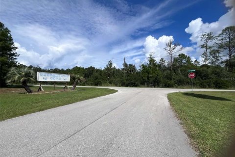 Land in Georgetown, Florida № 2400333 - photo 2