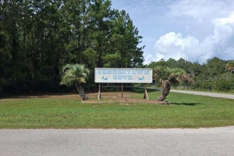 Land in Georgetown, Florida № 2400333 - photo 3