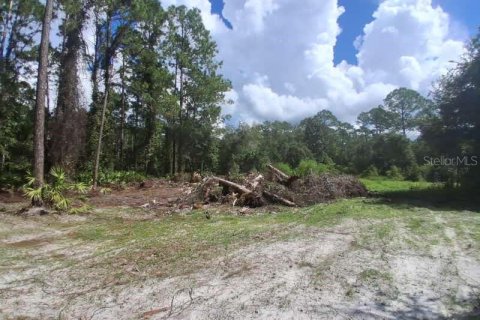 Land in Georgetown, Florida № 2400333 - photo 6