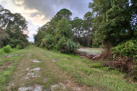 Land in Georgetown, Florida № 2400333