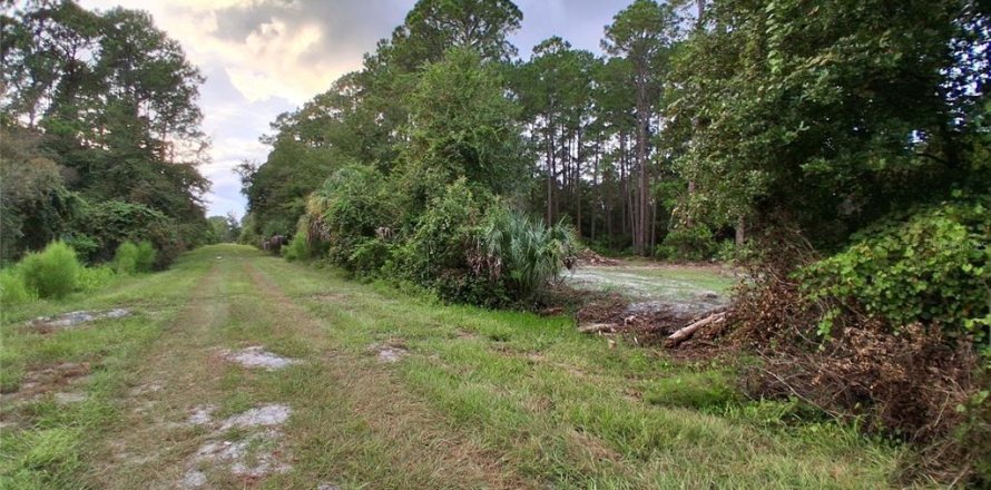 Land in Georgetown, Florida № 2400333