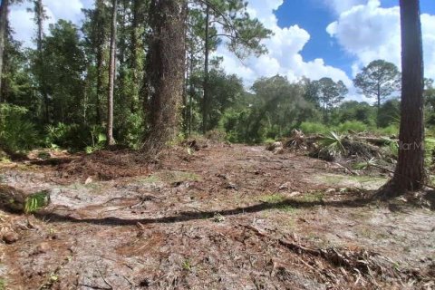 Land in Georgetown, Florida № 2400333 - photo 10