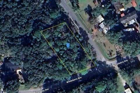 Terreno en venta en Fernandina Beach, Florida № 1912493 - foto 1