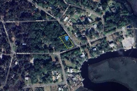 Terreno en venta en Fernandina Beach, Florida № 1912493 - foto 3