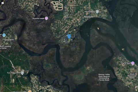 Terreno en venta en Fernandina Beach, Florida № 1912493 - foto 5