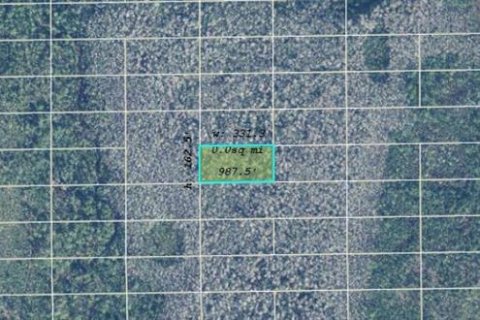 Land in Orlando, Florida № 2163684 - photo 2