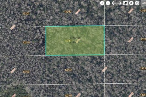 Land in Orlando, Florida № 2163684