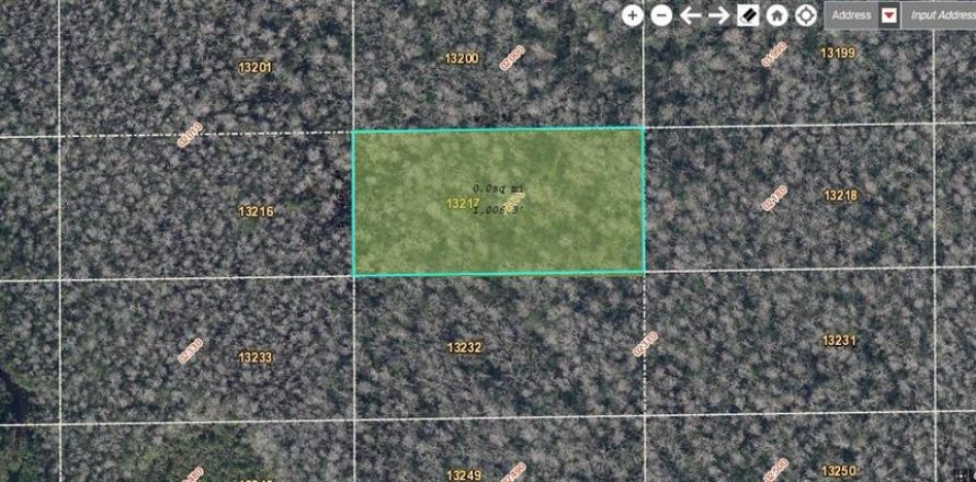 Land in Orlando, Florida № 2163684
