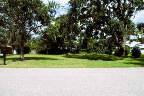 Terrain à vendre à Brandon, Floride № 1828446 - photo 5
